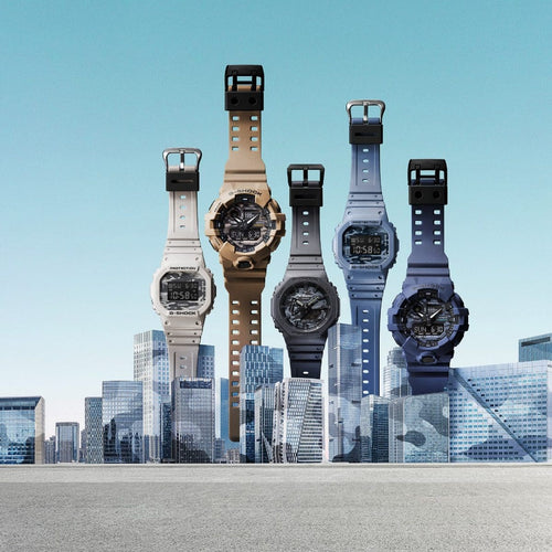 Reloj Casio DW-5600CC-2