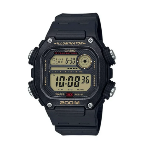 CASIO DW291H9AVCF