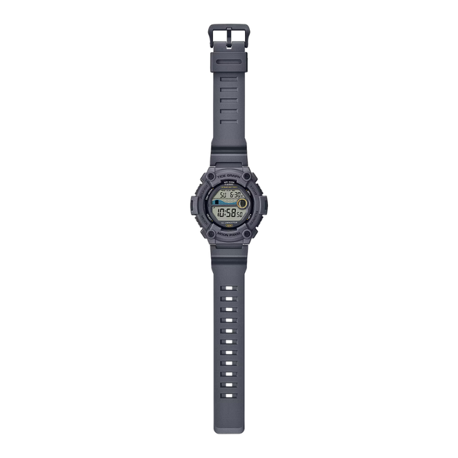 CASIO WS1300H8AVCF