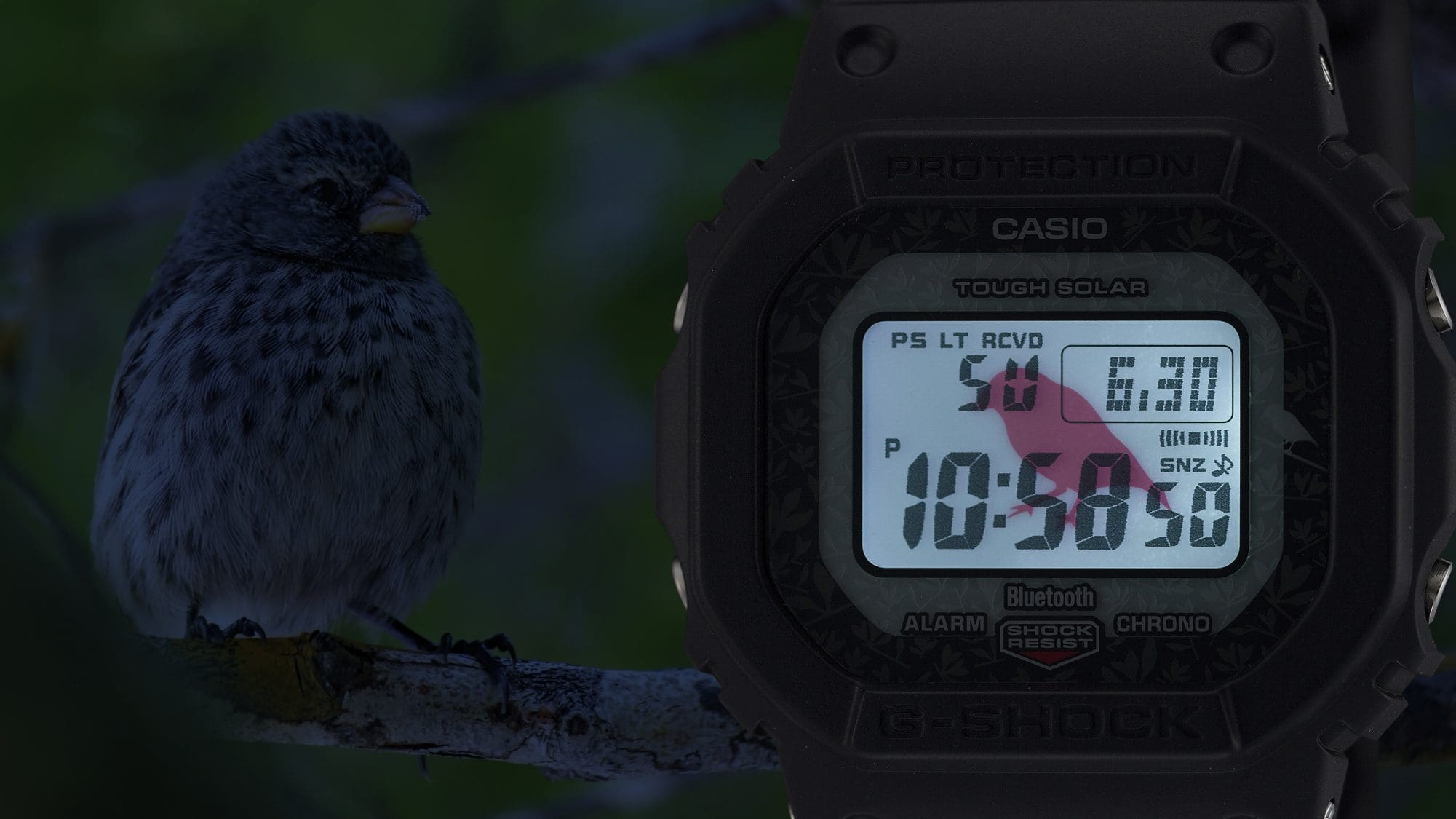 Reloj Casio GW-B5600CD-1A3